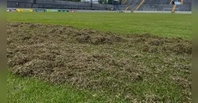 Clube do Remo inicia revitalização do gramado do Estádio Baenão em preparação para a Série A de 2026