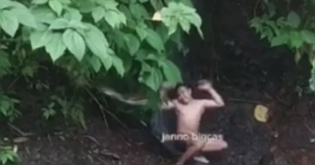 Imagem ilustrativa da notícia Vídeo: cobra gigante ataca homem durante banho de rio