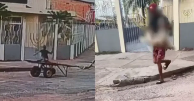 Imagem ilustrativa da notícia Vídeo: homem mata cachorro com pedrada em Icoaraci