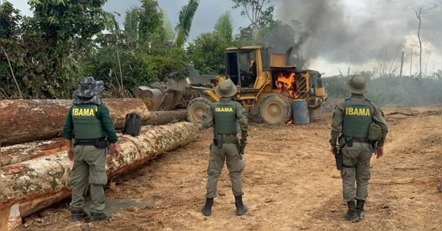 Imagem ilustrativa da notícia Ibama e Incra lançam edital com 60 vagas e salários de até R$ 11 mil