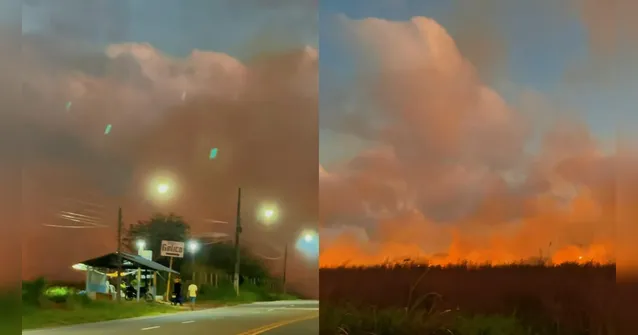 Imagem ilustrativa da notícia VÍDEO: incêndio atinge área de mata em Salinópolis