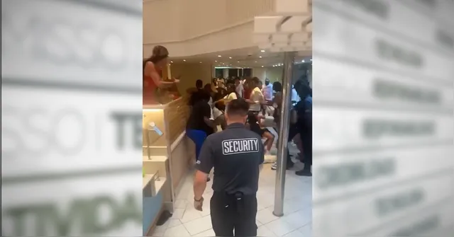 Imagem ilustrativa da notícia Vídeo flagra briga generalizada em cruzeiro por 'frango empanado'