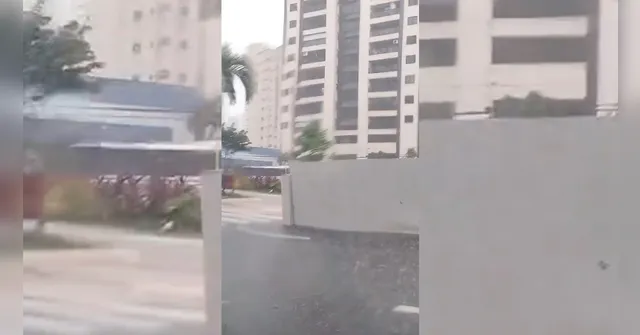 Imagem ilustrativa da notícia Trânsito: temporal derruba parada de ônibus e causa transtorno em Belém