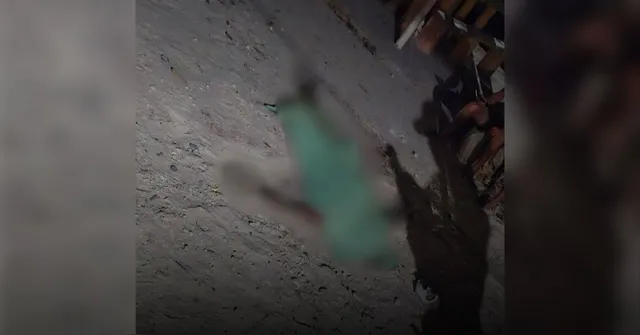 Imagem ilustrativa da notícia Confraternização em balneário termina em morte em Castanhal