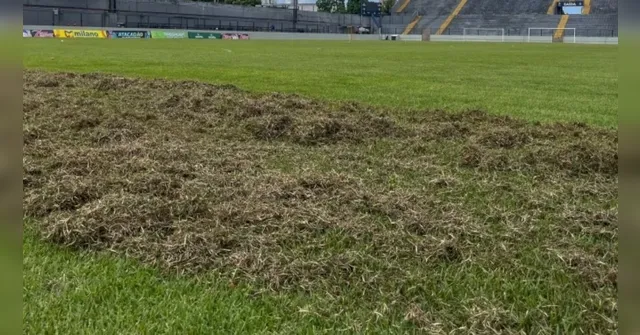 Imagem ilustrativa da notícia Remo: Baenão passa por revitalização no gramado para 2026