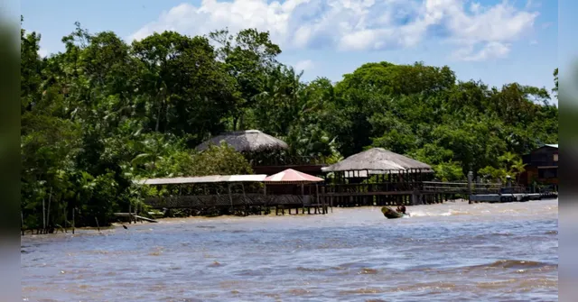 Imagem ilustrativa da notícia Casas ecológicas em ilha de Belém serão feitas com tijolos de açaí