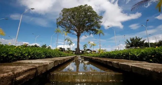 Imagem ilustrativa da notícia Parque do Utinga está entre os 5 mais procurados do Brasil na internet