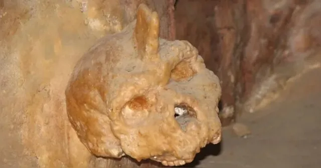 Imagem ilustrativa da notícia Crânio de 300 mil anos não pertence a humanos nem a Neandertais
