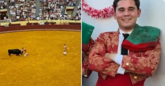 Imagem ilustrativa da notícia Jovem toureiro português morre após ser arremessado por touro
