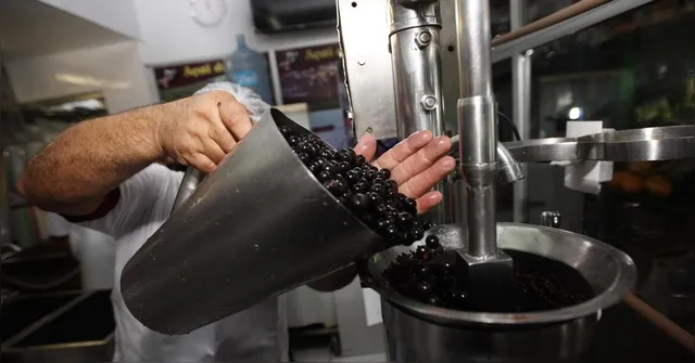 Imagem ilustrativa da notícia Lei regulamenta batedores de açaí e garante segurança alimentar