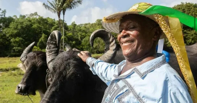 Imagem ilustrativa da notícia Vídeo: Mestre Damasceno retorna à terra natal no Marajó