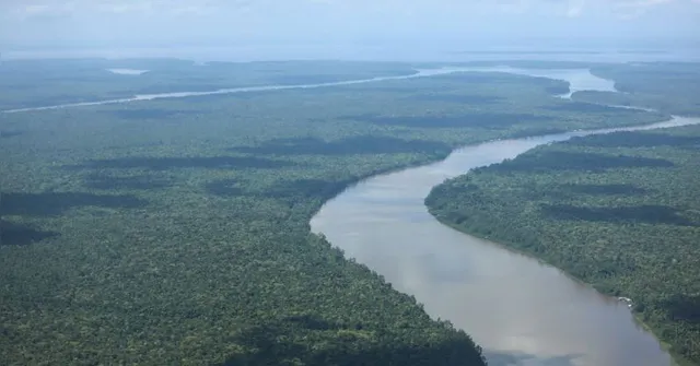 Imagem ilustrativa da notícia Pará registra queda no número de alertas de desmatamento