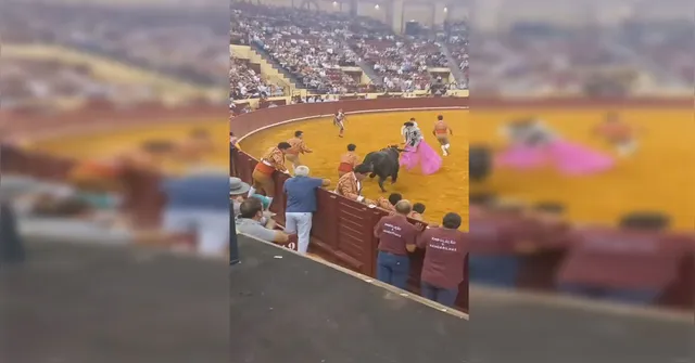 Imagem ilustrativa da notícia Vídeo: toureiro morre após ataque de touro e espectador sofre infarto