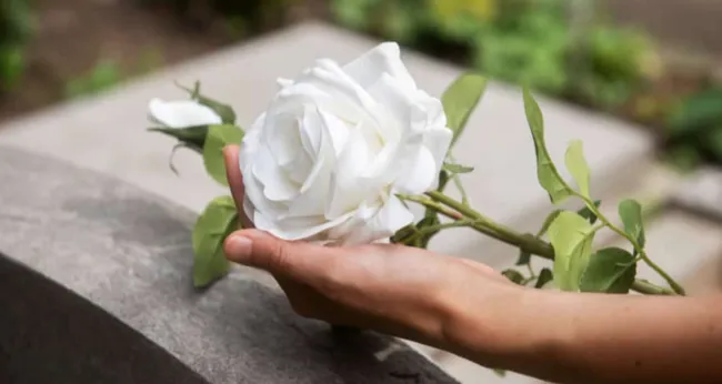 Imagem ilustrativa da imagem Feriado de Finados: veja o que abre e fecha em Belém&nbsp;