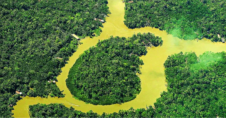 Imagem ilustrativa da notícia Diário do Pará traz série sobre relação equilibrada com a natureza na Amazônia