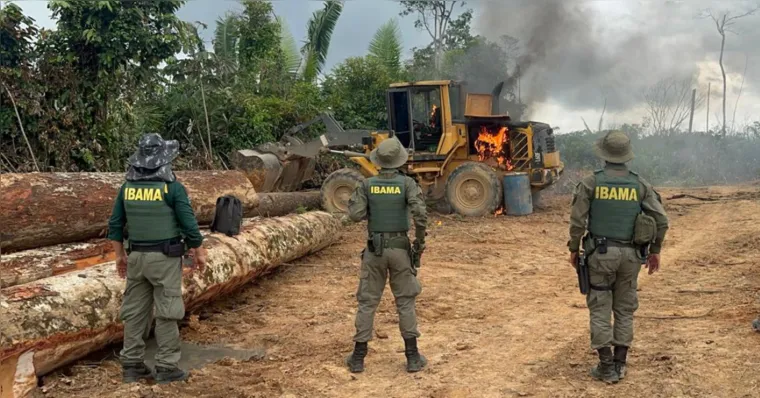 Imagem ilustrativa da notícia Ibama e Incra lançam edital com 60 vagas e salários de até R$ 11 mil