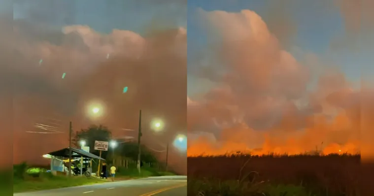 Imagem ilustrativa da notícia VÍDEO: incêndio atinge área de mata em Salinópolis