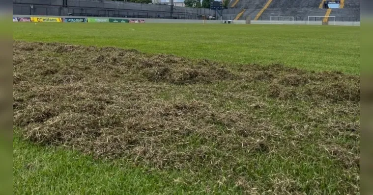 Imagem ilustrativa da notícia Remo: Baenão passa por revitalização no gramado para 2026