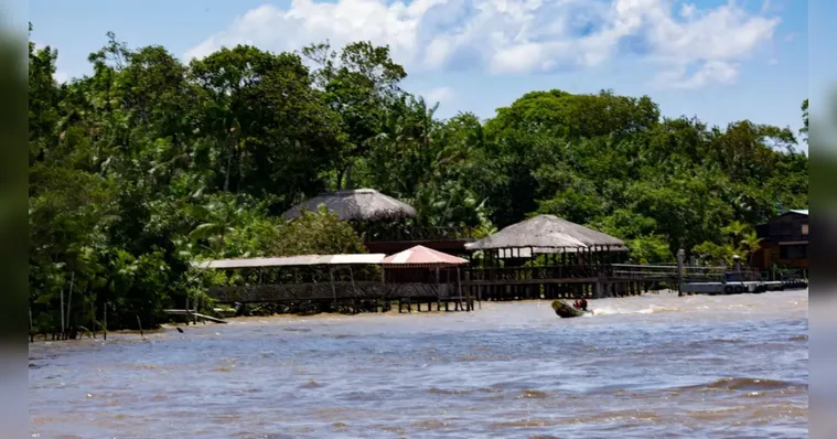 Imagem ilustrativa da notícia Casas ecológicas em ilha de Belém serão feitas com tijolos de açaí