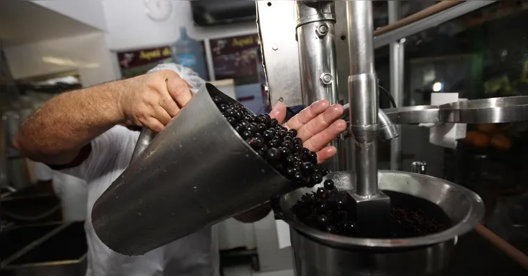 Imagem ilustrativa da notícia Lei regulamenta batedores de açaí e garante segurança alimentar