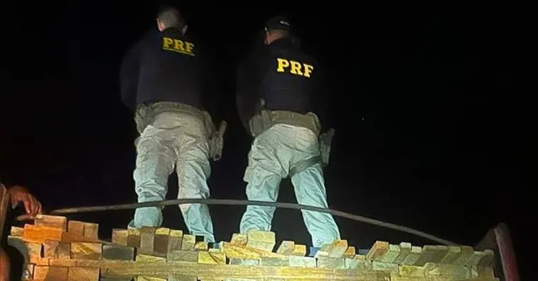 Imagem ilustrativa da notícia PRF apreende 24 m³ de madeira ilegal em Itupiranga