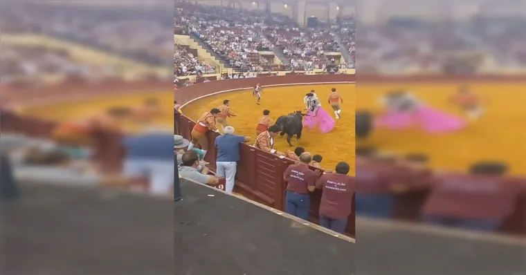 Imagem ilustrativa da notícia Vídeo: toureiro morre após ataque de touro e espectador sofre infarto