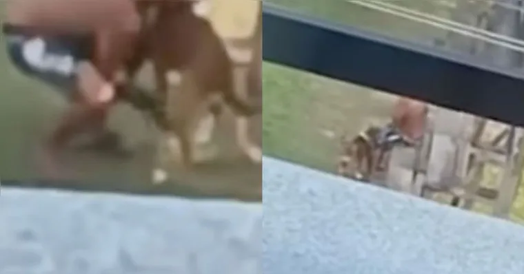 Imagem ilustrativa da notícia VÍDEO: Homem suspeito de cometer zoofilia é preso no Pará