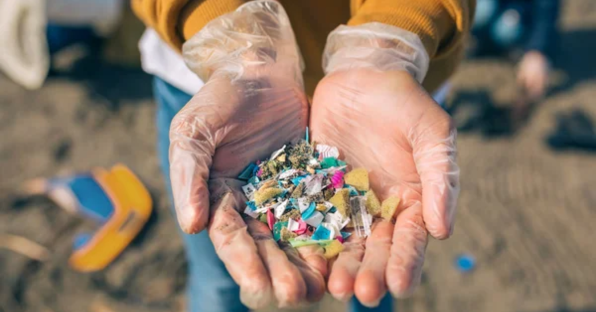 Microplásticos já poluem toda a cadeia alimentar do planeta
