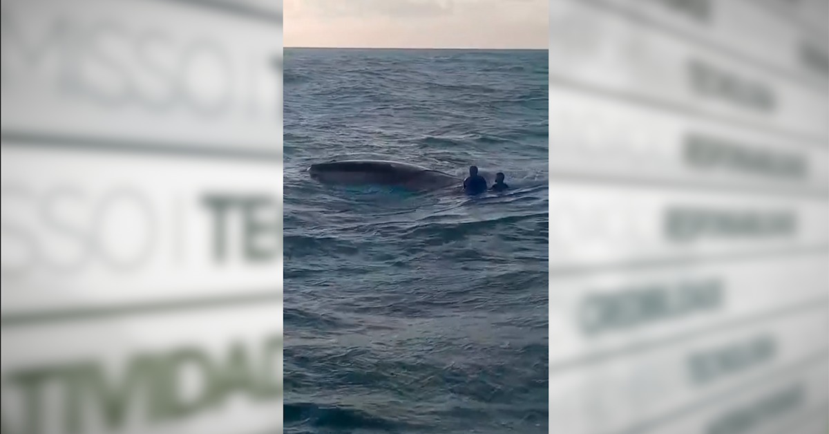 VÍDEO: Naufrágio em Vigia; pescadores resgatados após 24h no mar