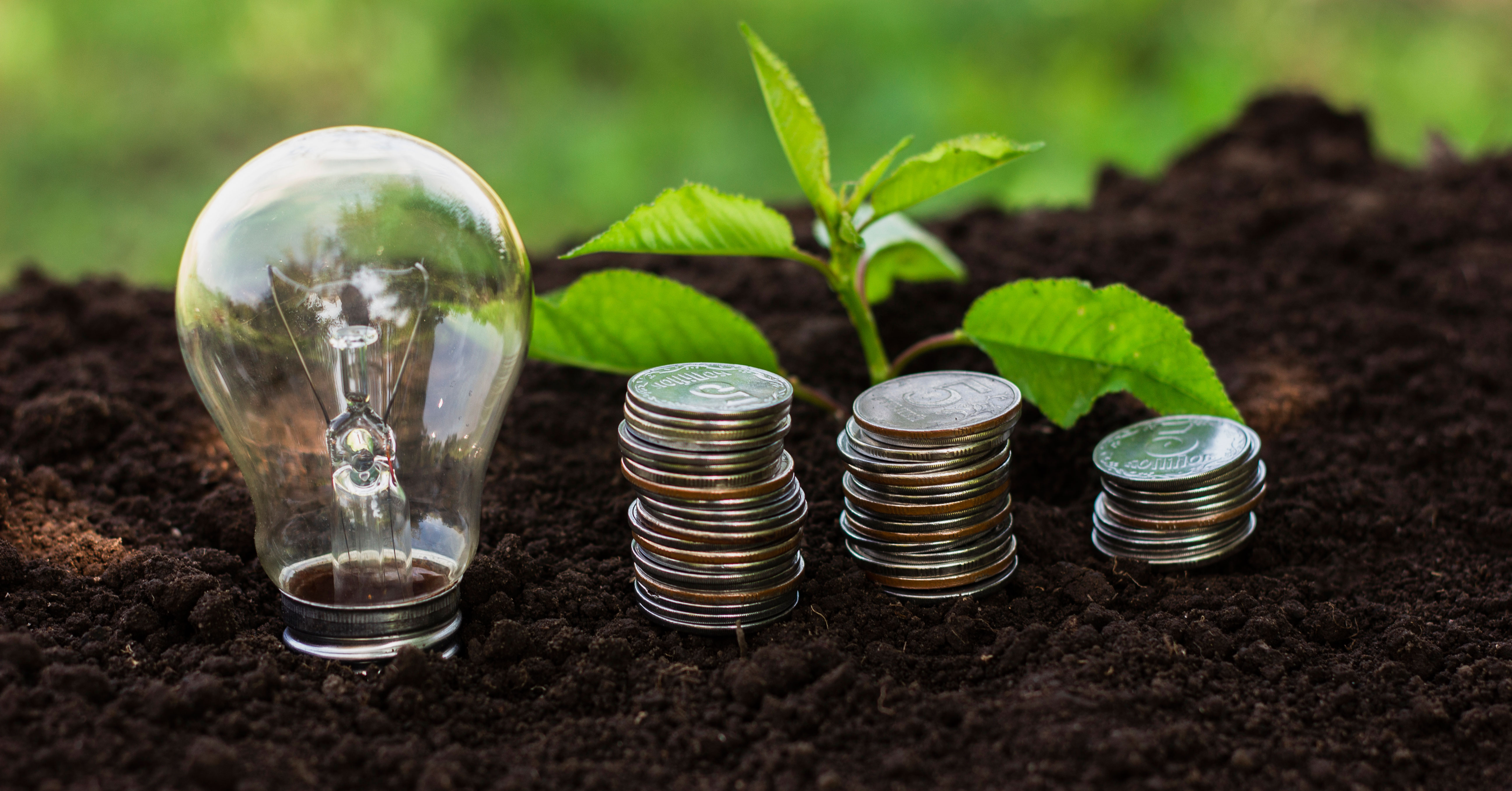 Reforma tributária verde: imposto seletivo, incentivos para biocombustíveis e créditos para a economia circular trazem novas oportunidades ao varejo.