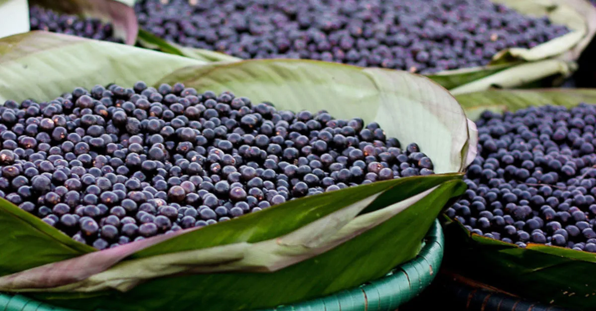 O objetivo é coibir o descarte irregular em vias públicas