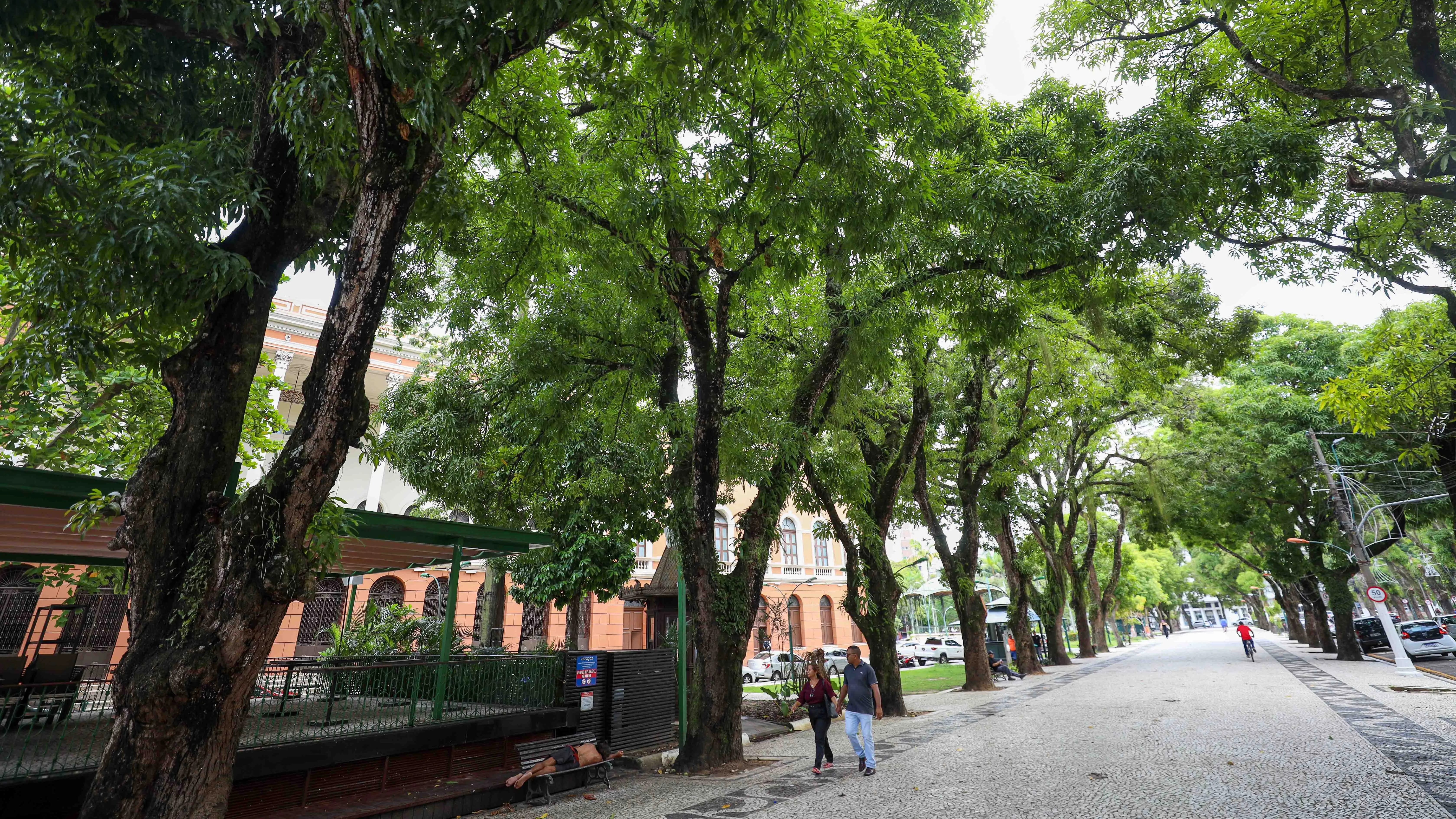 O passeio educativo partirá do Anfiteatro da Praça da República.