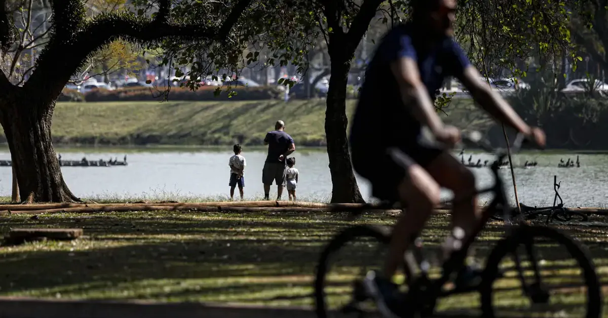 Quem terá o melhor ano econômico de sua vida em 2026