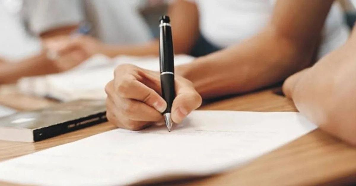 Ao todo, estão sendo ofertadas 40 vagas para candidatos