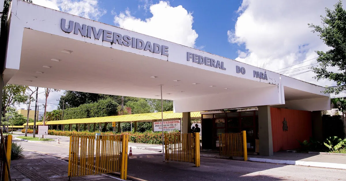 O crescimento no topo da pirâmide acadêmica é o dado mais expressivo da série histórica.