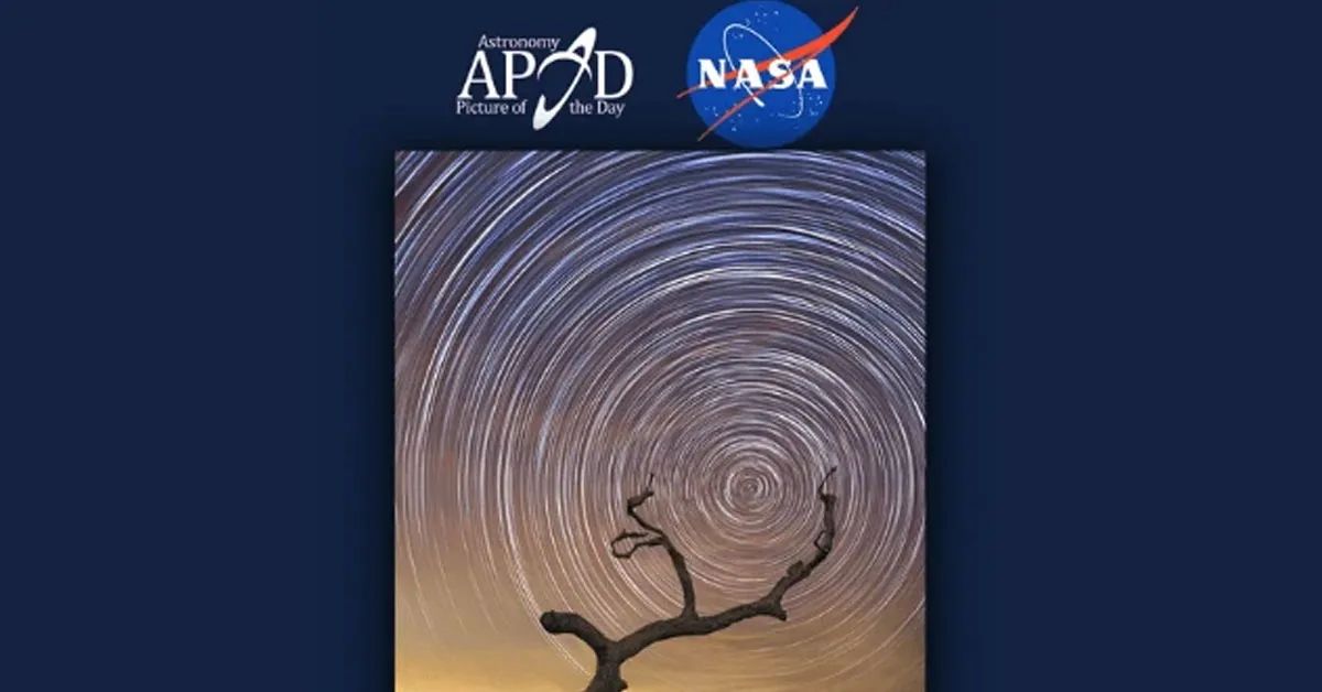 Intitulada “Árvore Celestial Sul”, a fotografia foi capturada em 20 de agosto de 2018