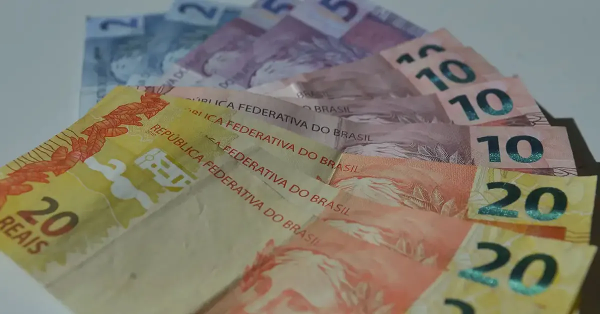 Os dados registrados são da Pesquisa Nacional por Amostra de Domicílios (PNAD)