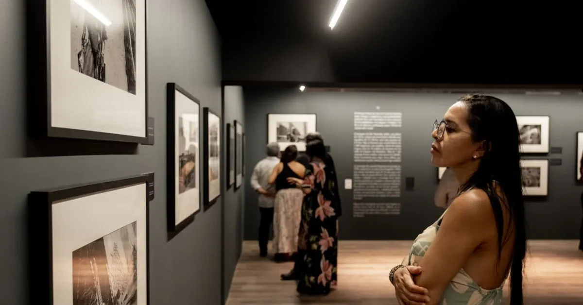 Toda a programação é gratuita e aberta ao público em geral