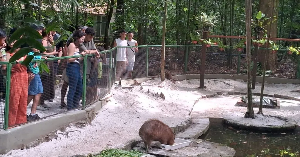 Com 142 anos de história, o Bosque é um dos mais importantes patrimônios naturais e históricos da capital paraense.