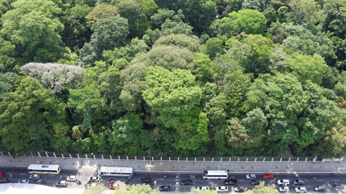 Imagem ilustrativa da notícia: Bosque Rodrigues Alves preserva relação de Belém com a floresta