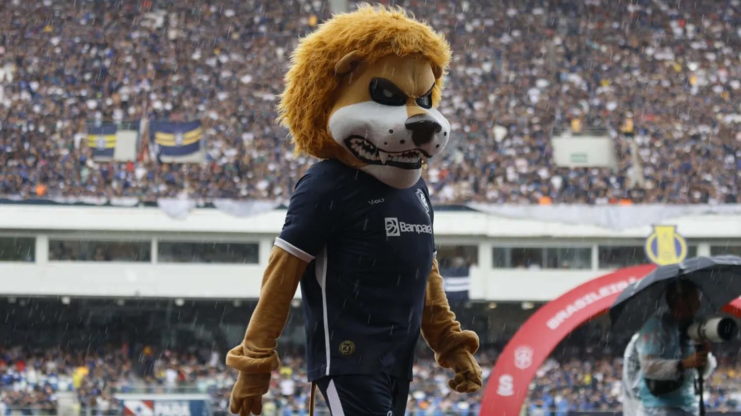 De volta à Série A do Campeonato Brasileiro, o Leão Azul planeja uma temporada de forte investimento esportivo.