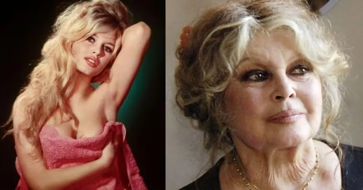 Brigitte Bardot, morre aos 91 anos