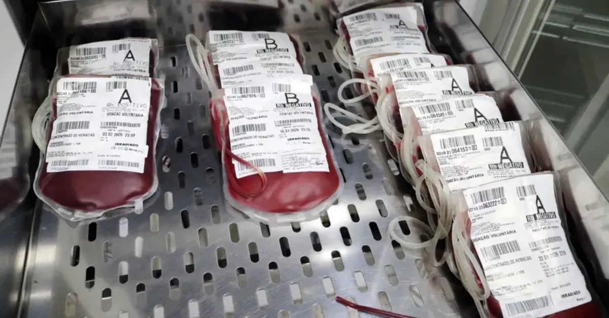 Doe sangue no Pará