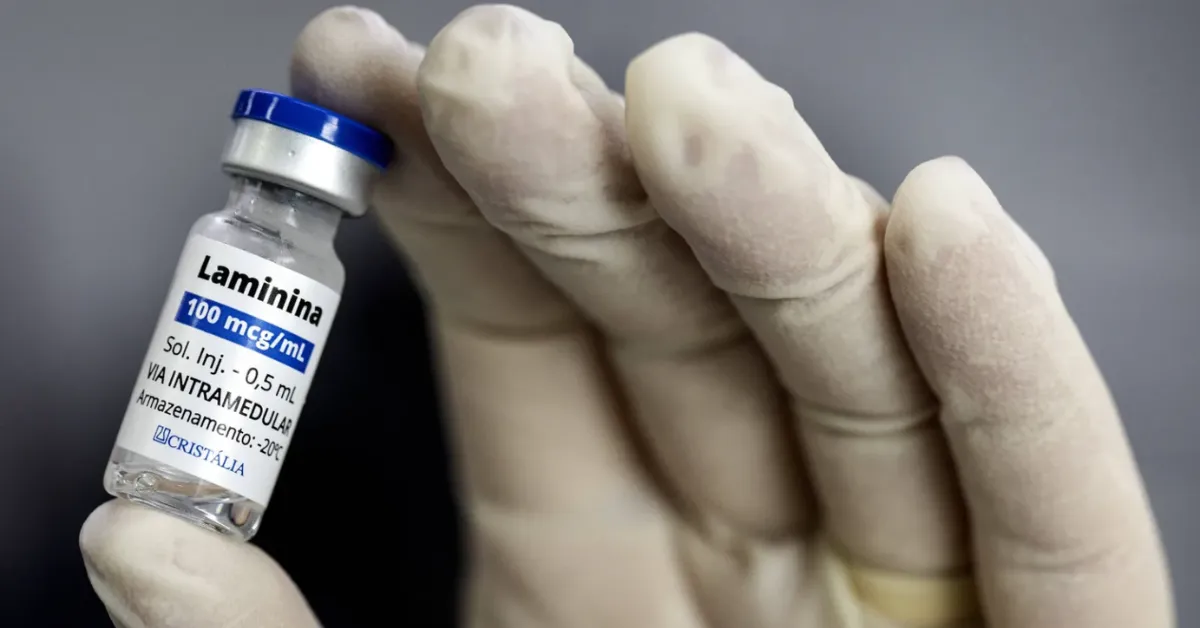 Pesquisadores da Universidade Federal do Rio de Janeiro conduzem estudos sobre a polilaminina, proteína experimental investigada para regeneração da medula espinhal