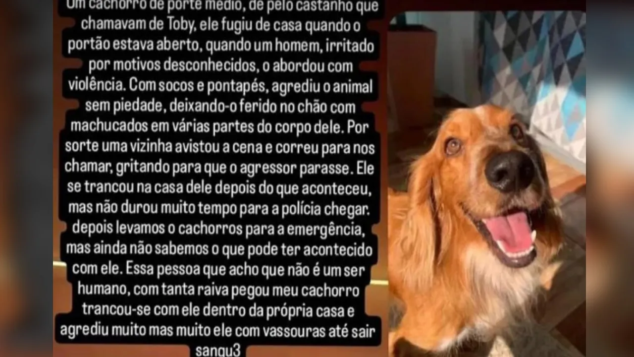 Tutores relataram nas redes sociais a agressão