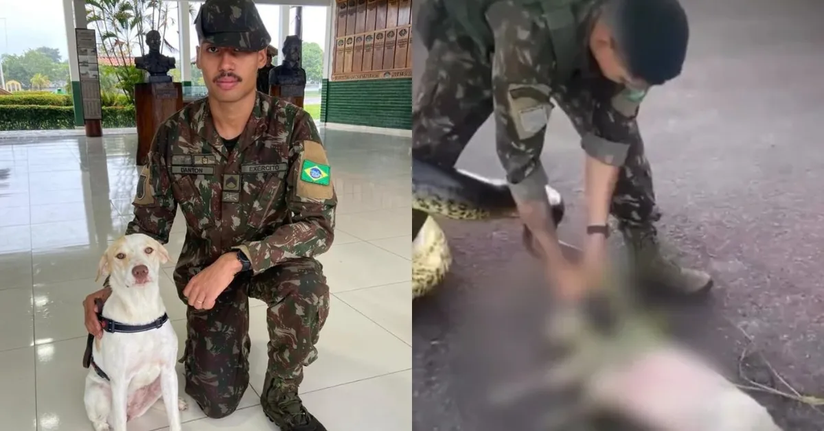 O sargento aplicou massagem cardíaca no animal até que ele voltasse a respirar.