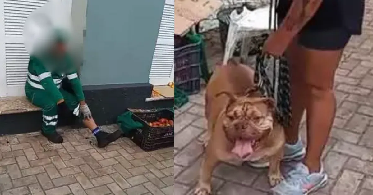 O caso foi registrado na Seccional de São Brás como omissão na guarda de animal perigoso.