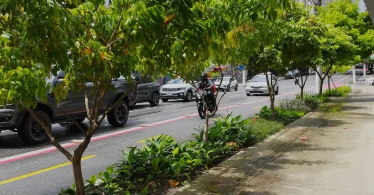 Os jardins de chuva são implantados em áreas antes impermeáveis, como trechos de calçadas e vias.