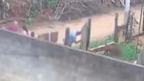 Pessoas tentam salvar a criança do ataque