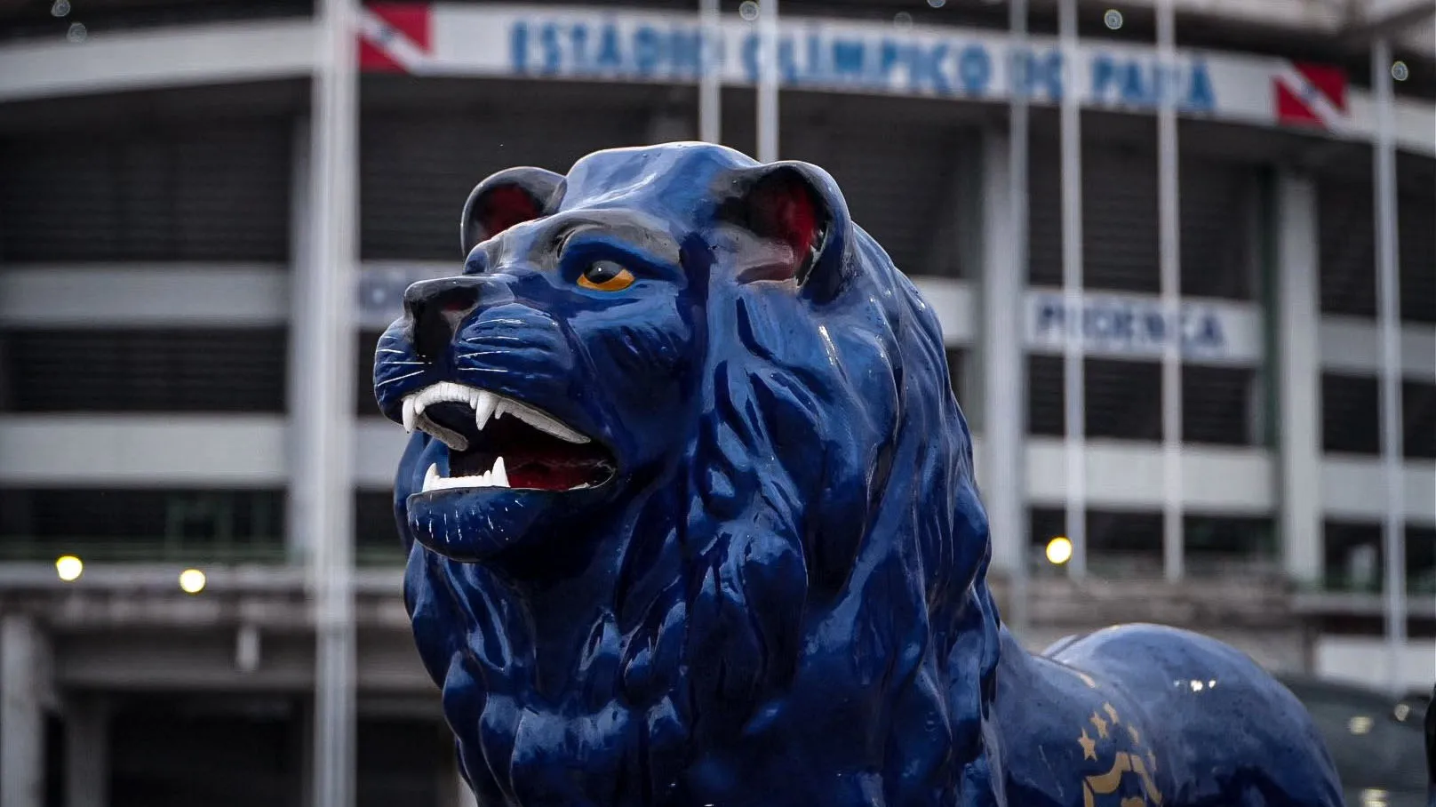 Clube do Remo busca primeira vitória no Brasileirão contra o Internacional em jogo decisivo no Mangueirão